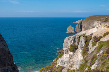 Fototapeta na wymiar Cap Frehel peninsula's cliffs, English channel, Brittany in Northwestern of France