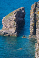 Naklejka premium Cap Frehel peninsula's cliffs, English channel, Brittany, France