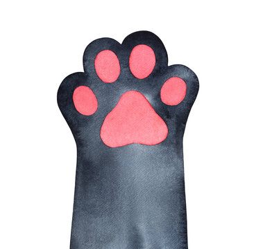 Cute Black Paw With Pink Little Pad. Symbol Of Cosiness, Home, Warmth, Good Fortune. Handdrawn Water Color Graphic Painting, Cut Out Clip Art Element For Creative Design, Print, Poster, Frame, Banner.