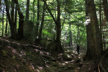 瑞牆山（みずがきやま）　登山道の景色。奥秩父・山梨県北斗市にある山、百名山の一つ。花崗岩で形成され、頂上付近は岩がむき出しとなっている、