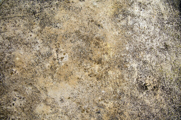 Old cement or concrete outdoor wall with stains and moldy for background and texture.