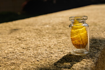A yellow leaf in the glass bottle, warm sun shining on the bottle on the stone steps