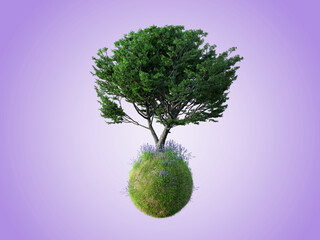 Beautiful trees isolated conceptual mini floating globe with diversity in natural landscapes and environments