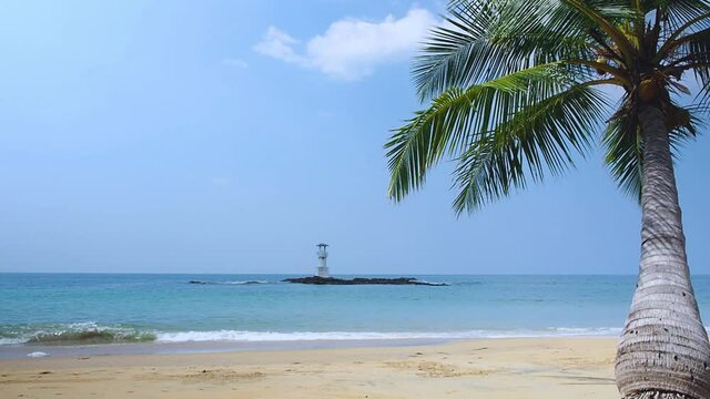 palm trees at beach fornt. sunlight shine on green grass field and coconut trees in blue sky and white clouds background. small calming sea waves in summer sunny day in a tropical sea beach. traveling