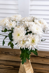 Obraz na płótnie Canvas White chrysanthemum flowers on wooden background
