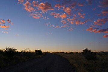 ピンク色の夕焼け空