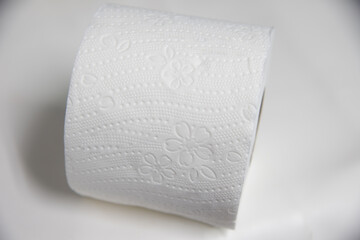 White toilet paper on white background.