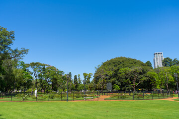 Beautiful public park full of roses of different types and colors with the city in the background. Rosedal de Palermo in Buenos Aires, Argentina. Panoramic view.