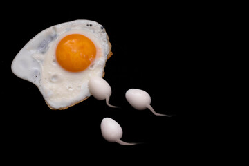 Fertilization process concept. Food layout of fried and boiled eggs. The photo