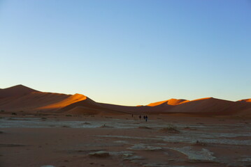 Fototapeta na wymiar ナミブ砂漠のデッドフレイ 