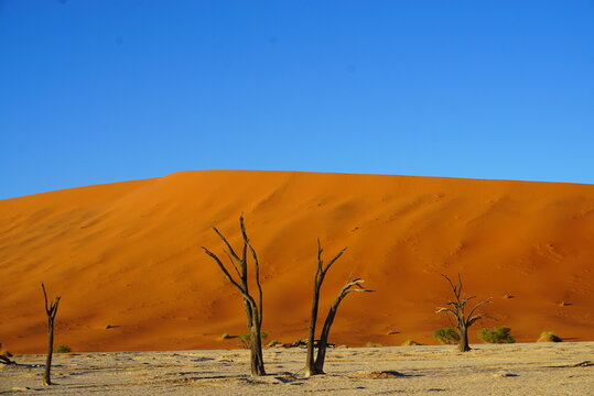 ナミビア Images Browse 829 Stock Photos, Vectors, and Video Adobe Stock