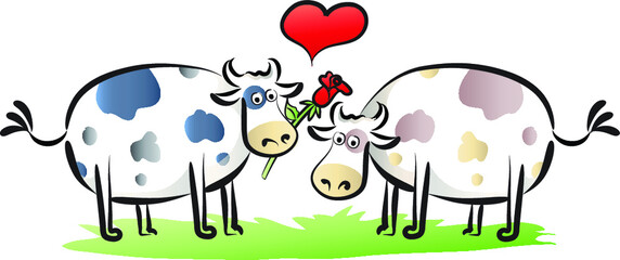 vector cartoon fat milk cows fall in love