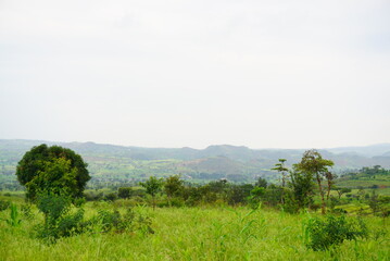 アフリカの風景