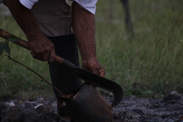 hombre sembrando con herramientas endémicas milenarias y tradicionales 