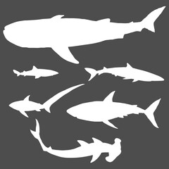 Vector Set of Silhouette Sharks.