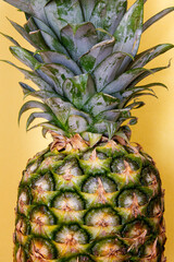 Close up of a pineapple on a yellow background; delicious bright and colorful pineapple