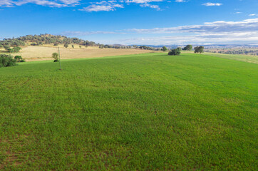 Fototapeta na wymiar Aerial view of farmland between Cowra and Canonwindra in the New South Wales Central West - Australia