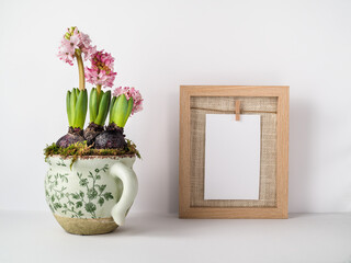 Blossom hyacinth in flower pot and blank piece of white card in wooden frame.
