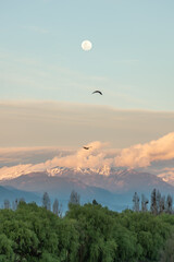 monta&ntilde;a nubosa