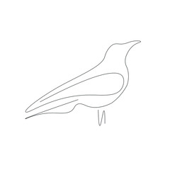 Bird line drawing, vector illustration