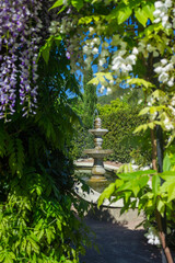 Nikita Botanical Garden, Yalta, Crimea.