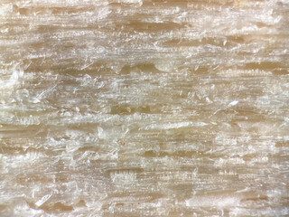 木製のアイスの棒の顕微鏡写真