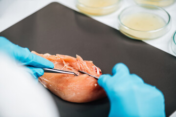 Food Safety and Quality Control - Testing Poultry Meat