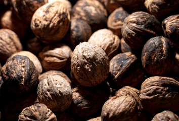Fresh walnuts on drying as background.