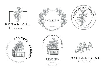 Botanical floral minimal type classical collection of logo design template