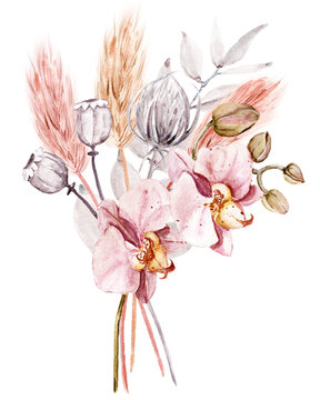 Dried Flowers And Orchid Watercolor Drawing. Pampas Grass, Tropical Palm Leaves, Wildflowers.	
