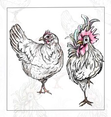 hen and rooster illustration with hen and rooster background 