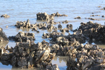 sea and rocks