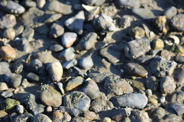 stones on the beach