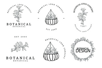 Botanical floral minimal type classical collection of logo design template