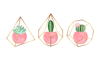 watercolor houseplants in pink pots set isolated on white. Cactus and succulents hand drawn illustrations