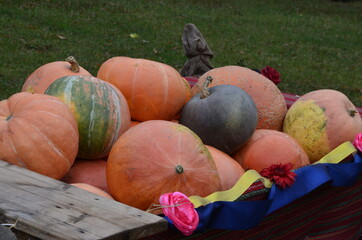 Still life of pumpkins on cart