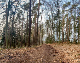 Bavarian Forest walk way begin of Spring for new destinations and targets