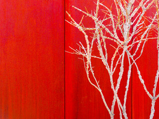 Red wall and tree branches