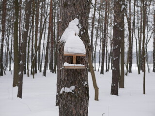 A homemade wooden bird feeder in a winter park on a cloudy snowy day. Birdwatching in a city park