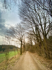 Bavarian Forest walk way begin of Spring for new destinations and targets