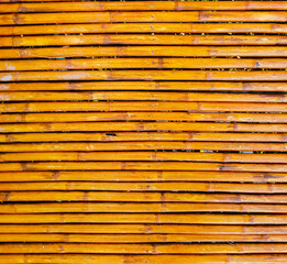 Bamboo texture background