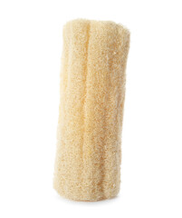 Natural shower loofah sponge isolated on white