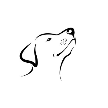 Vector of labrador dog head isolated on white background. Easy editable layered vector illustration. Animals. Pets.