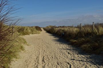 Sandy footpath and hiking trail through the sand dunes by the North Sea at Domburg, Netherlands under a blue winter sky