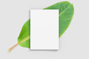 a4 size paper flyer mockup with green big banana leaf