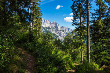 Landschaft im Klausbachtal im Berchtesgadener Land