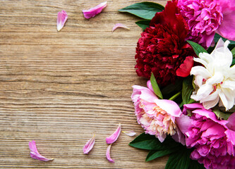Pink peony flowers as a border