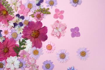 Colorful flowers framework on pink background. Top view, flat lay