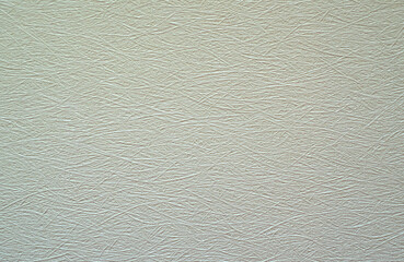 Texture of white wallpaper for painting with fine hairs