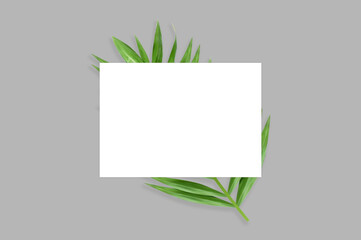 blank a4 size paper mockup with palm leaves in the background